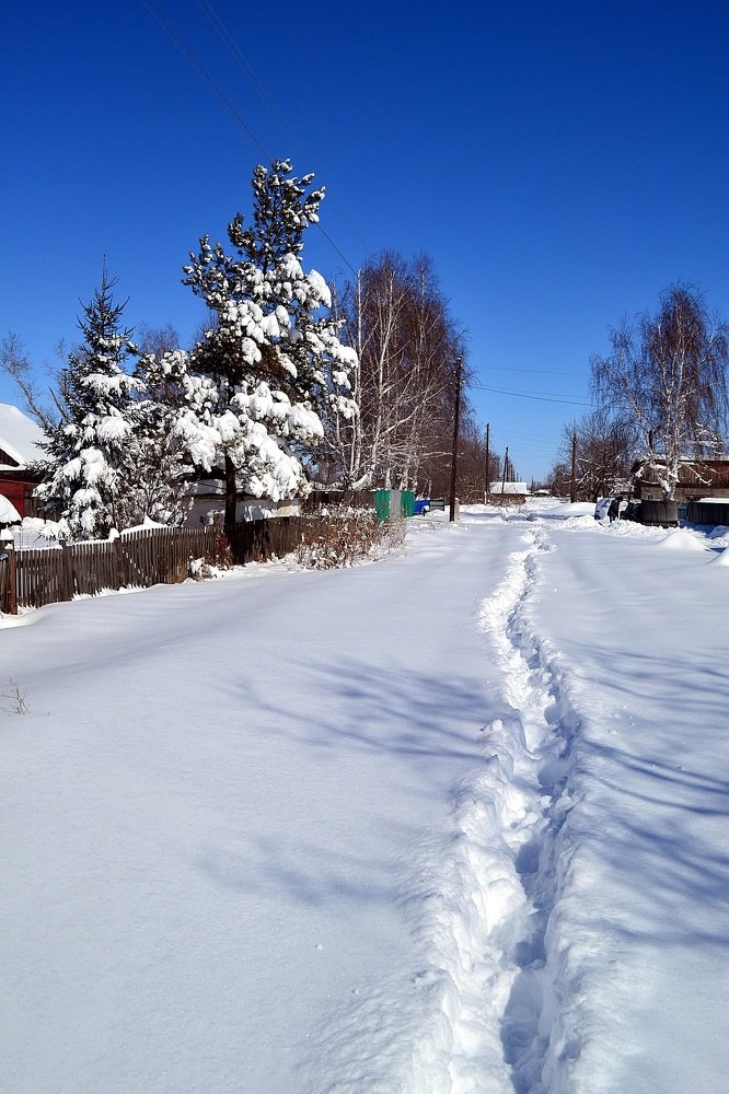 Photograph by алексей