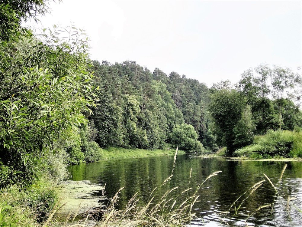 Photograph by Станислав Третьяков