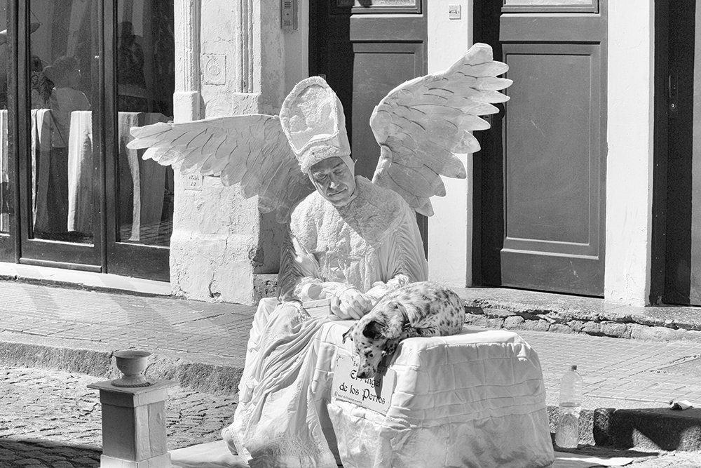 El Ángel y el perro