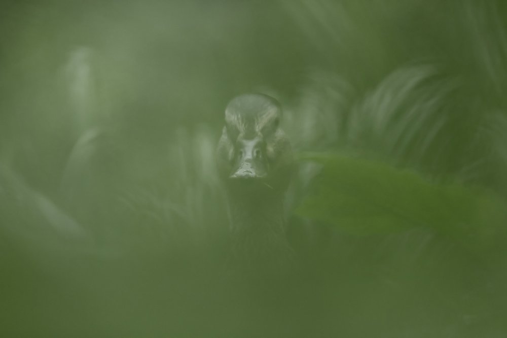 Фотография автора Иваненко Светлана