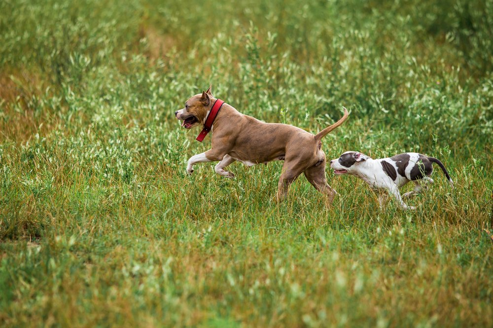 Photograph by Анастасия