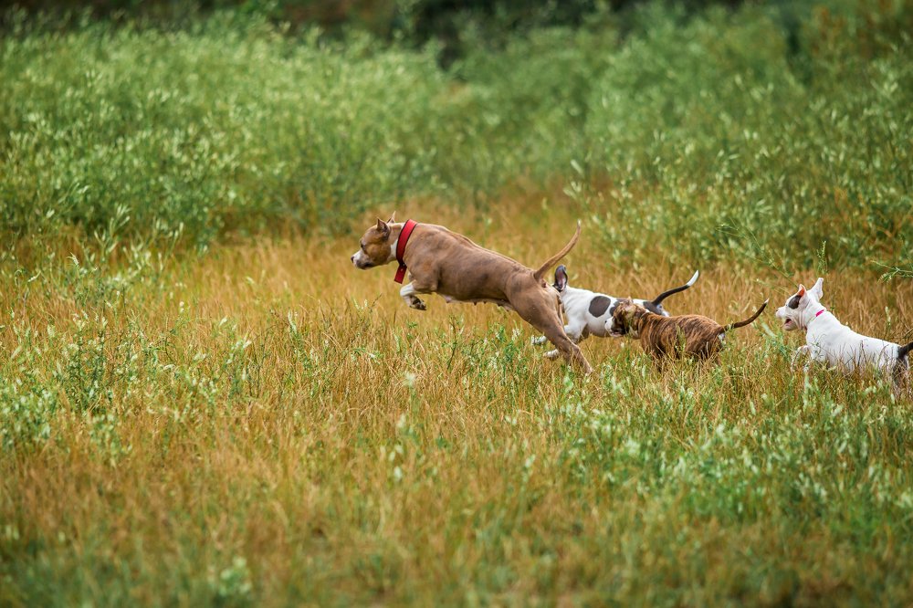 Photograph by Анастасия