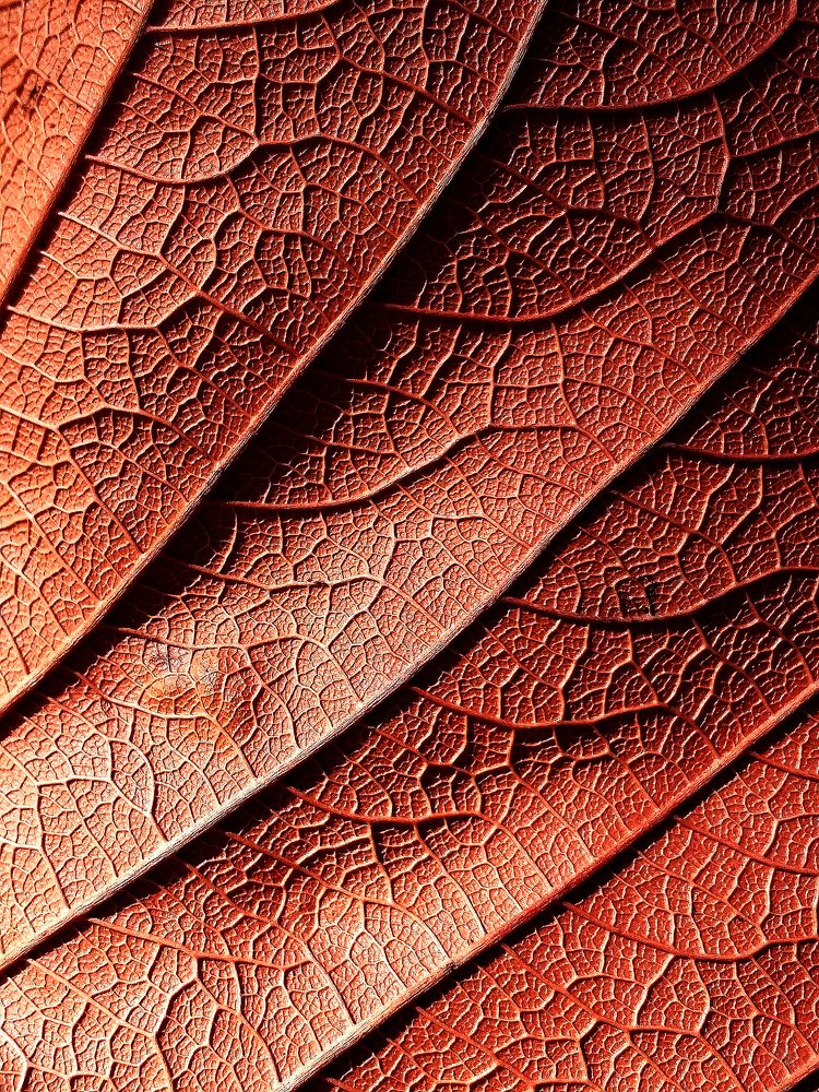 Photograph by GLEYDA GUTIÉREZ