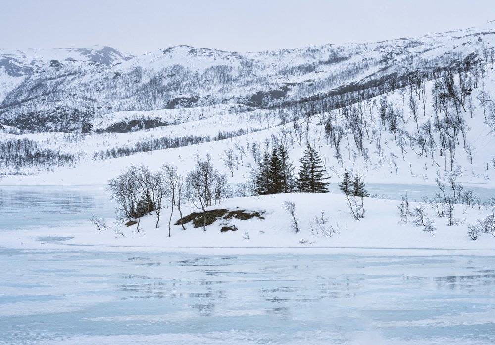 Photograph by Antoni Figueras