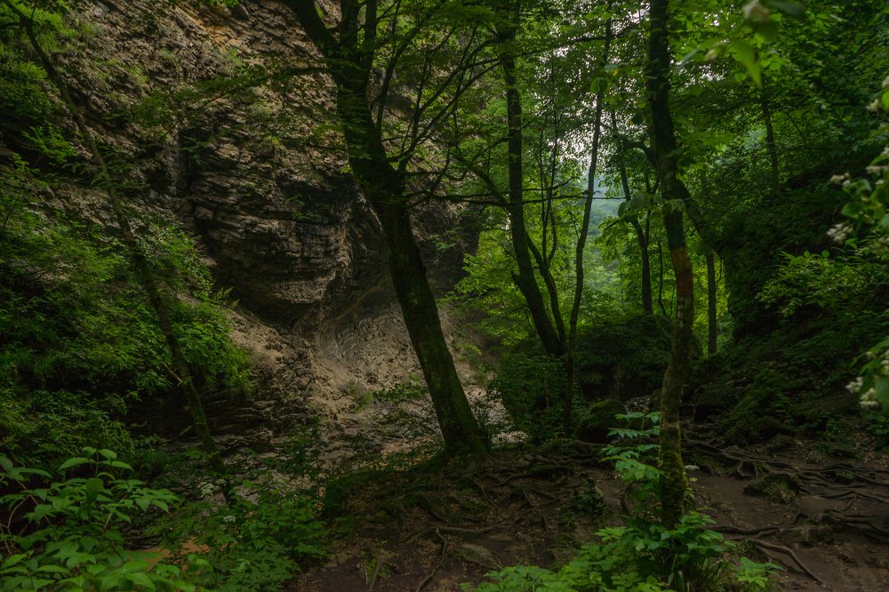 Photograph by Виктор Зотов