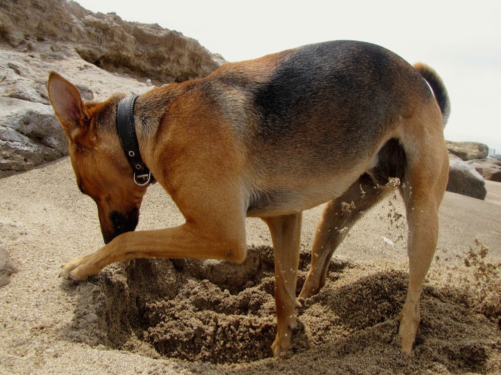 Photograph by Beatriz Games