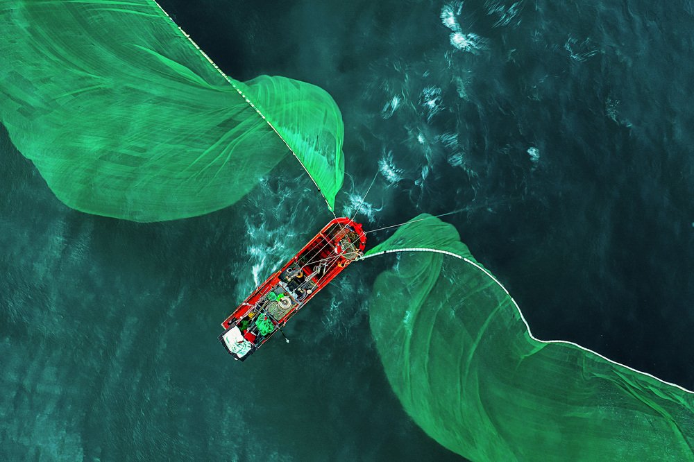 Photograph by Phạm Thạch