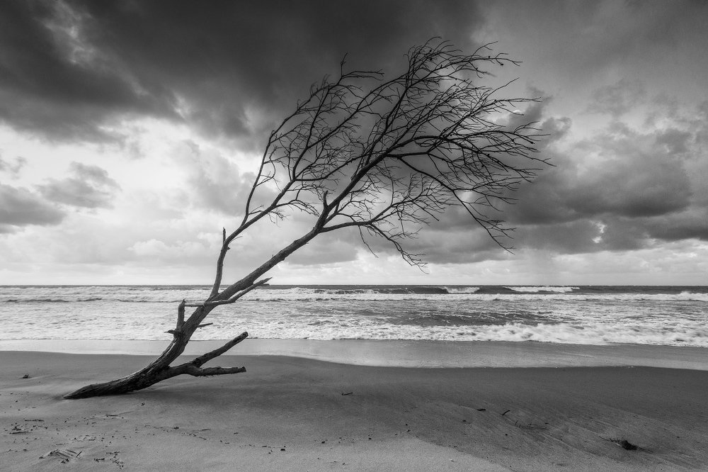 Штормовые дни...