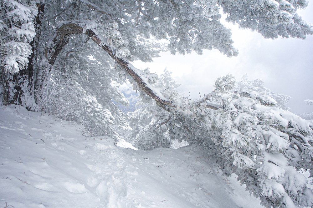 Photograph by Николай Ковтун