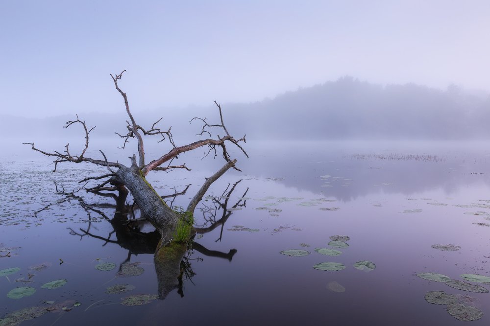 Тихое утро в конце лета