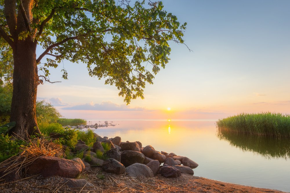 Photograph by Валерий Притченко