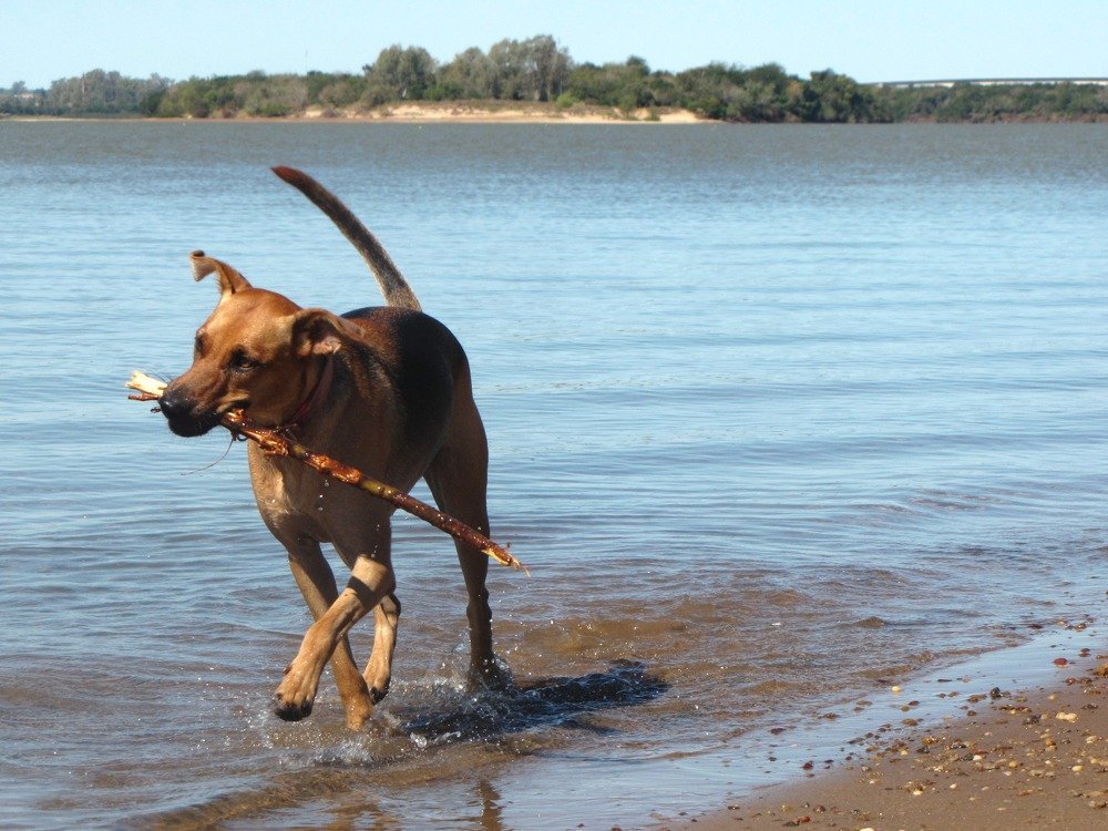 Photograph by Beatriz Games