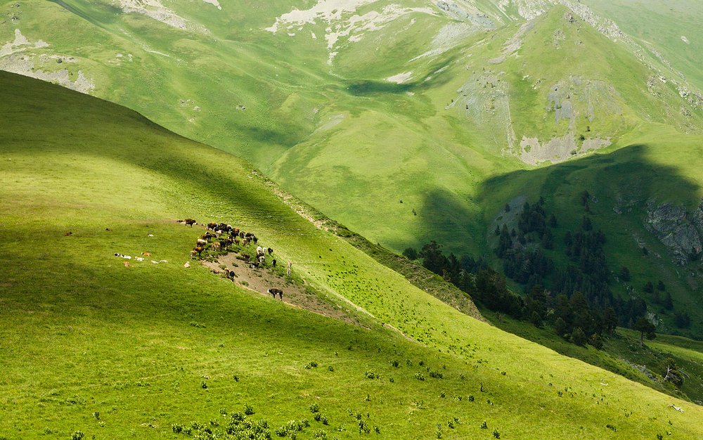 Photograph by Елена Покрепа