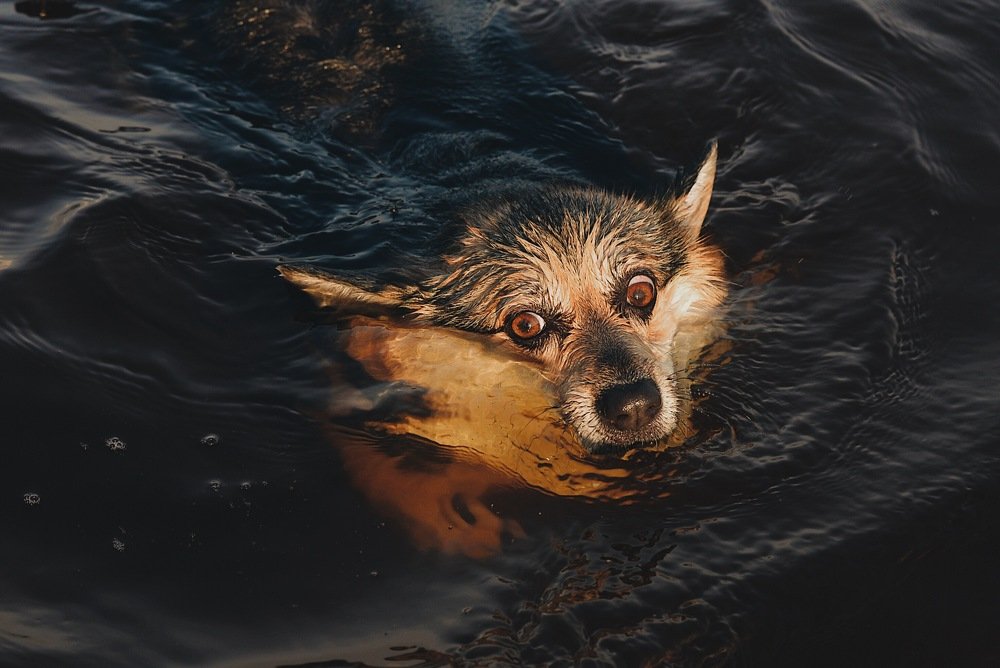 Жанин Ихтиандровна