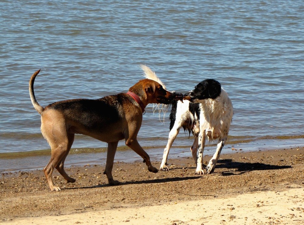 Photograph by Beatriz Games