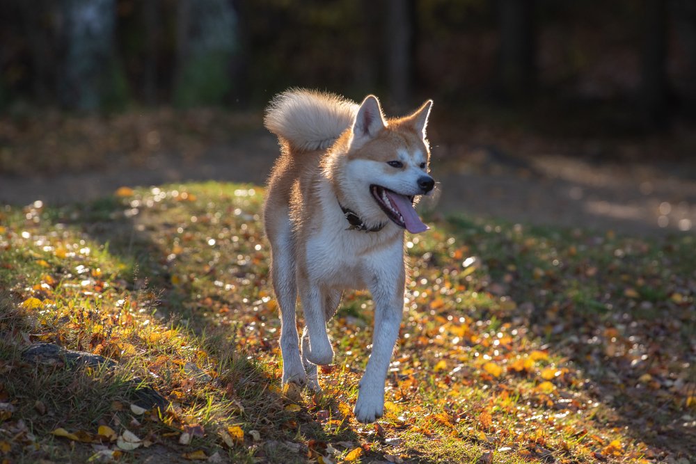 Photograph by Вячеслав Криволуцкий