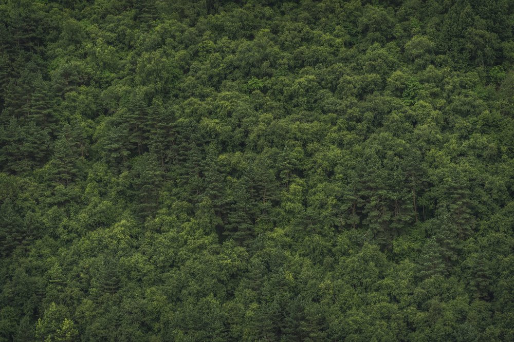 Photograph by Антон Зубков