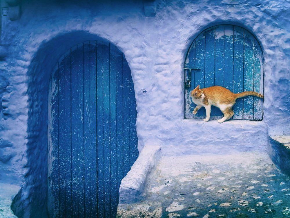 Photograph by dilyana dimova