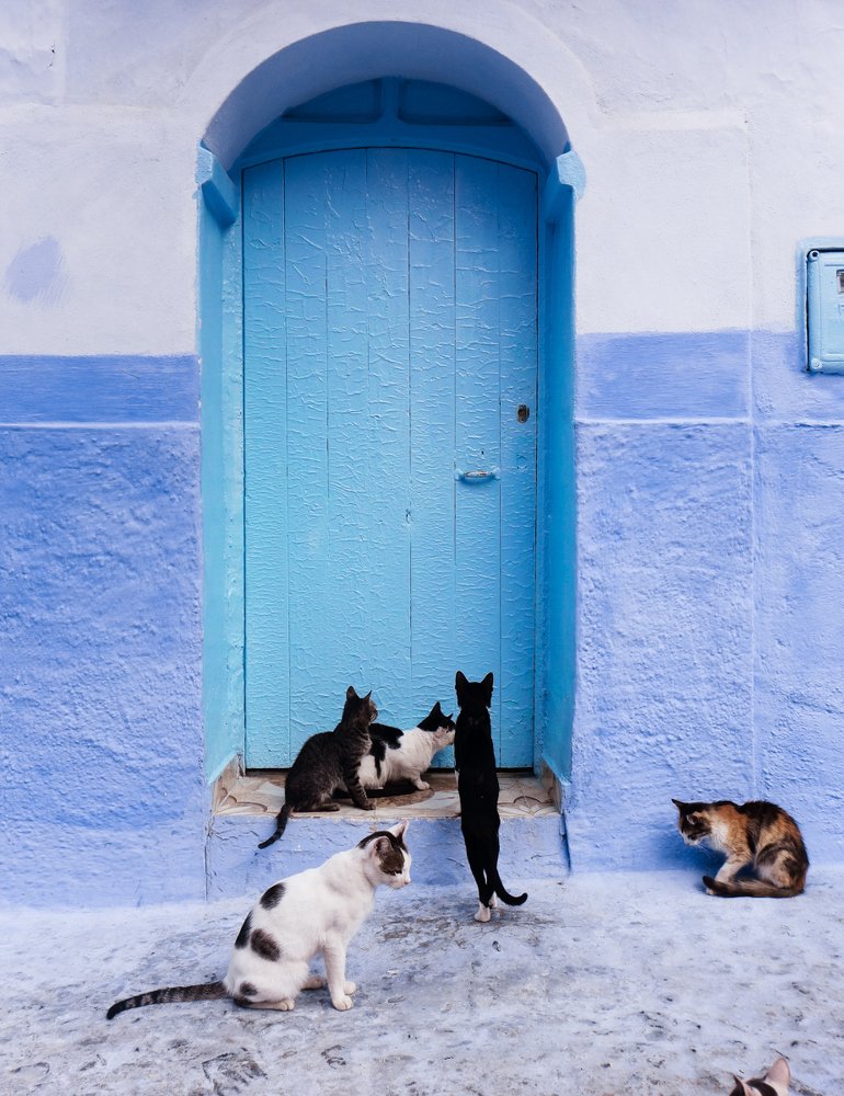 Photograph by dilyana dimova