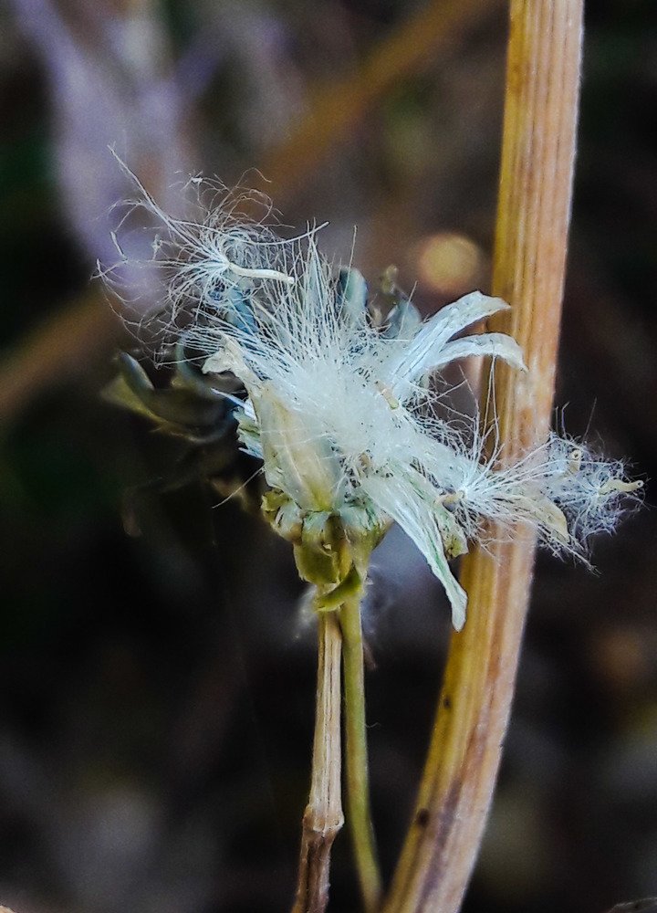 Photograph by Mozhgan Fotouhi