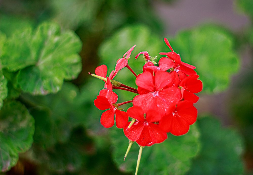 Photograph by Владимир Осипов