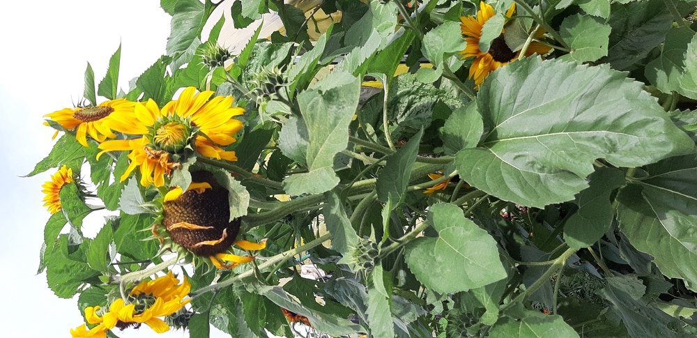 Photograph by Валентина Березина