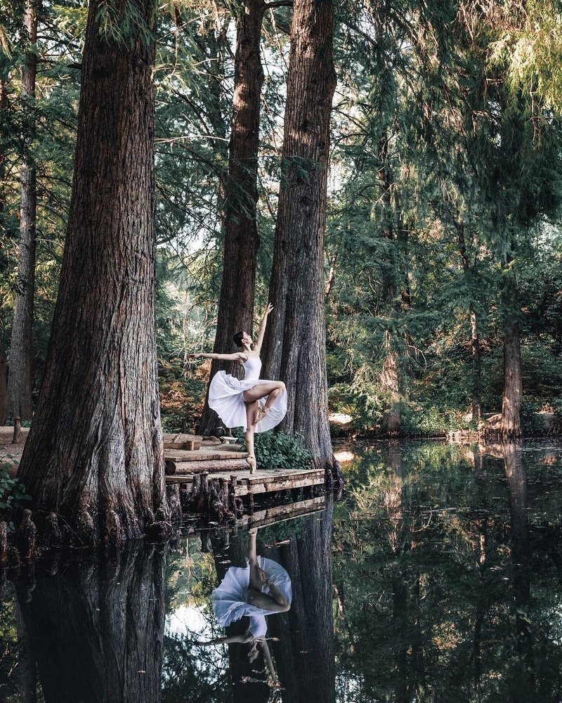 Лесной житель