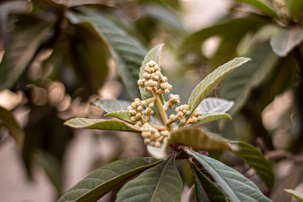 Photograph by Владимир Осипов