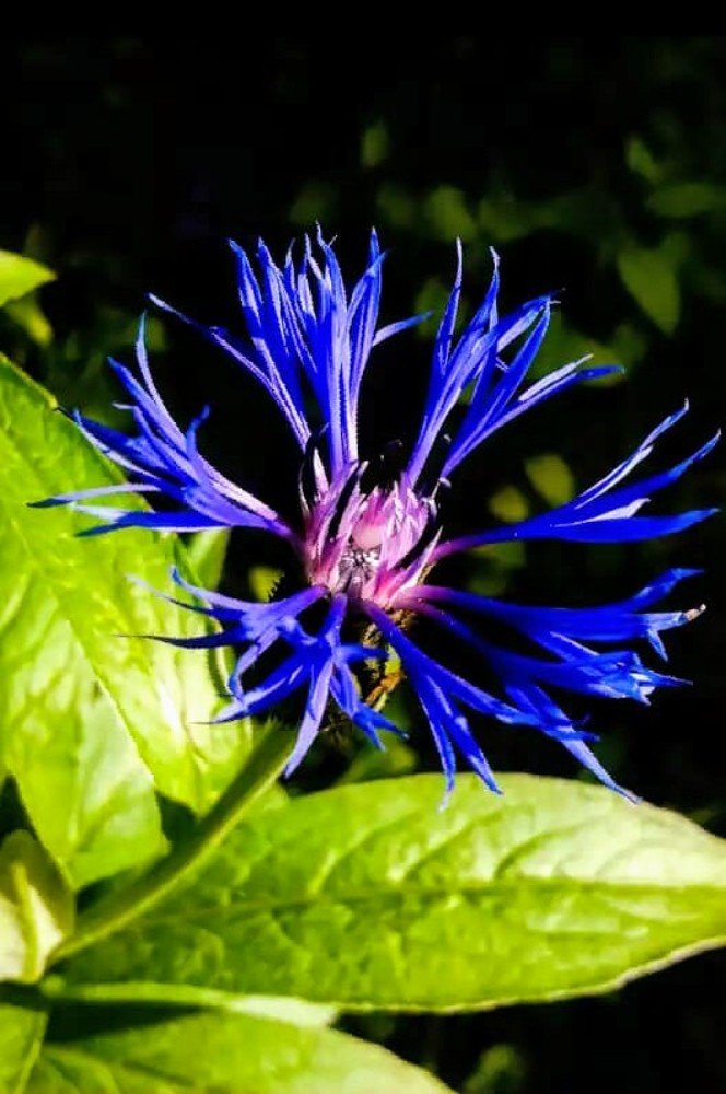 Photograph by Ольга Велитченко