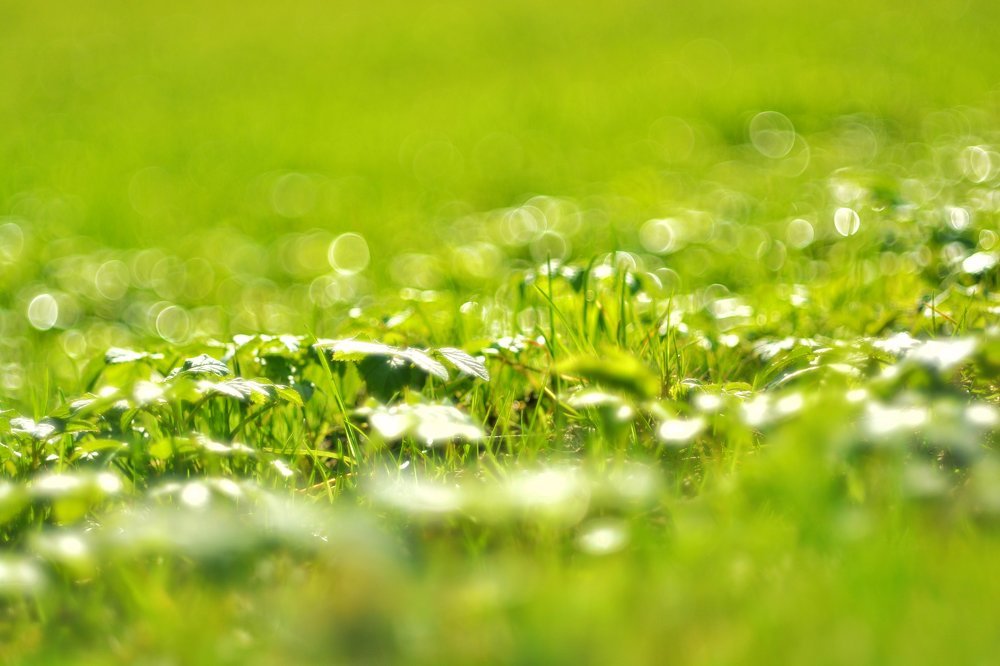 Photograph by Наталья Яновская