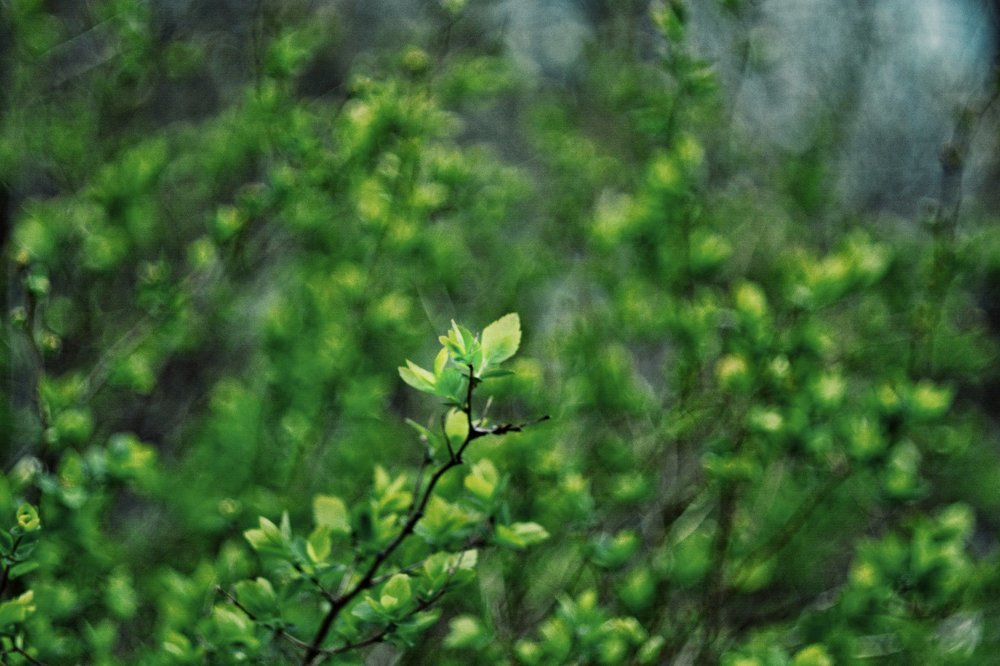 Photograph by Наталья Яновская