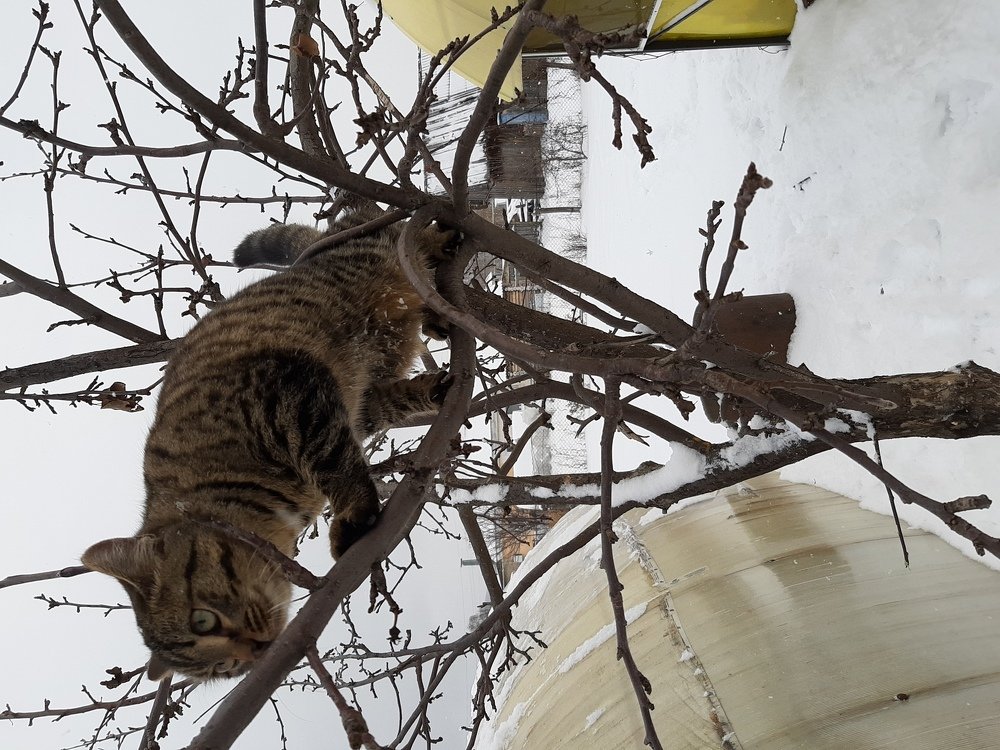 Photograph by Валентина Березина