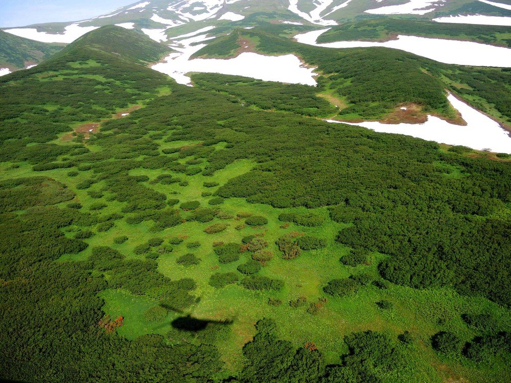 Photograph by София Гавриловна Вотякова