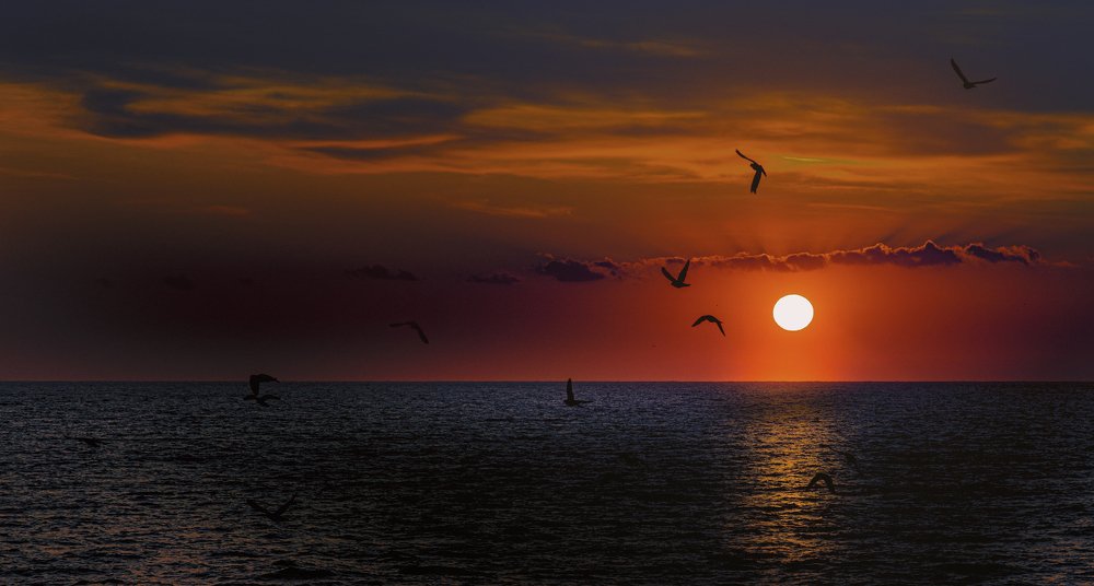 Photograph by Venelin Dimitrov