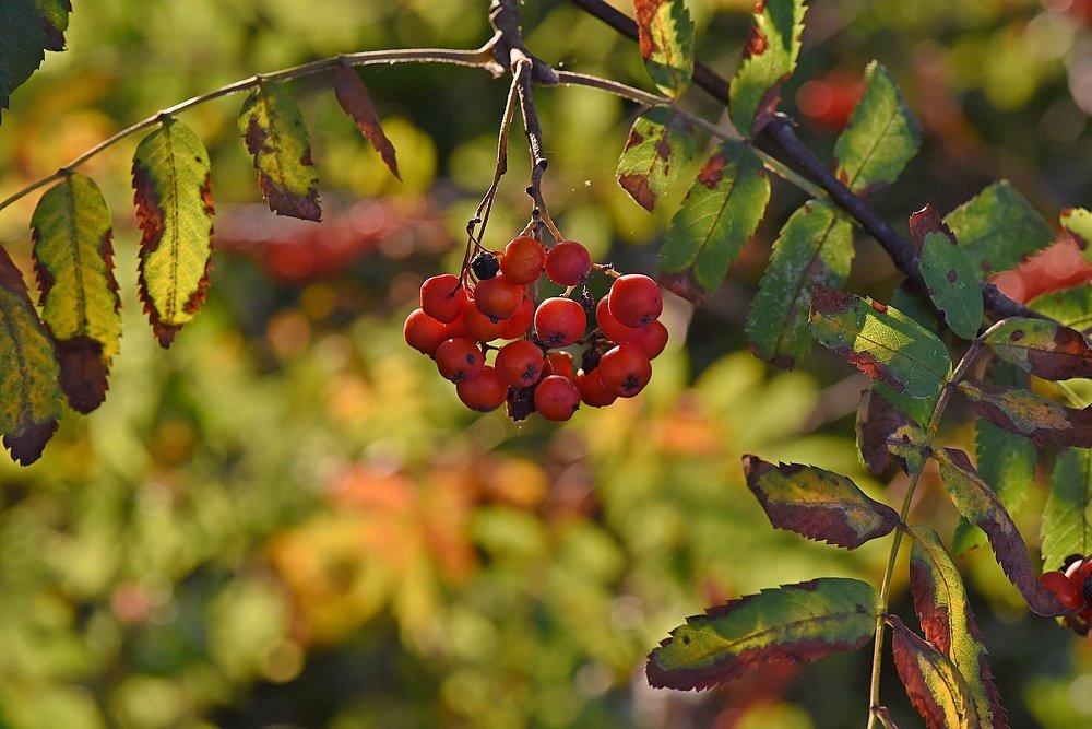 Photograph by Nikolai Savin