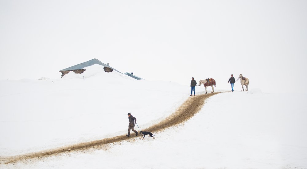 Photograph by yalçın çifçi