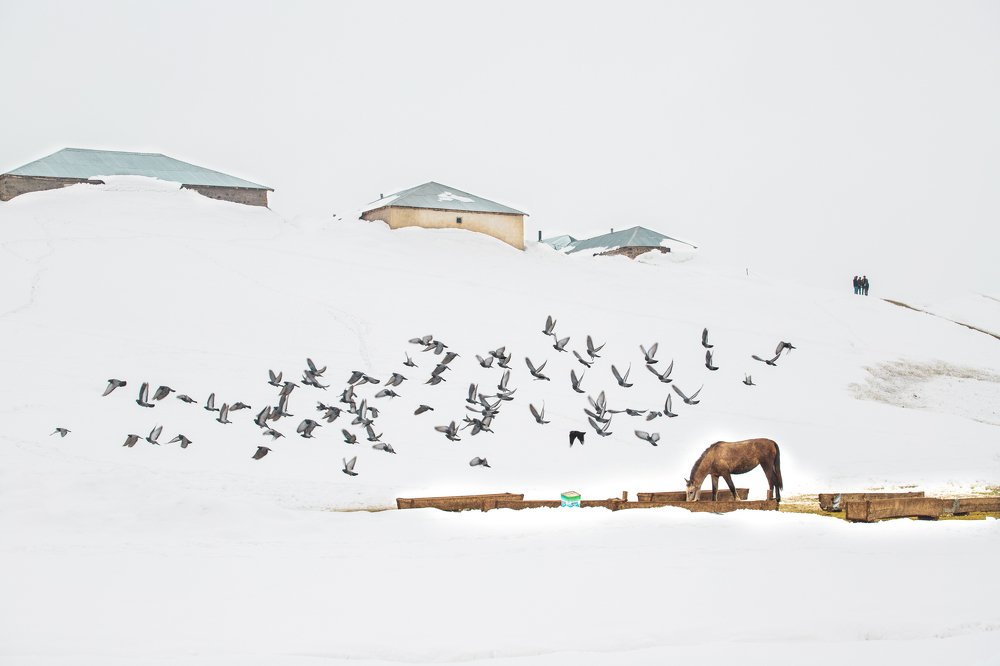 Photograph by yalçın çifçi