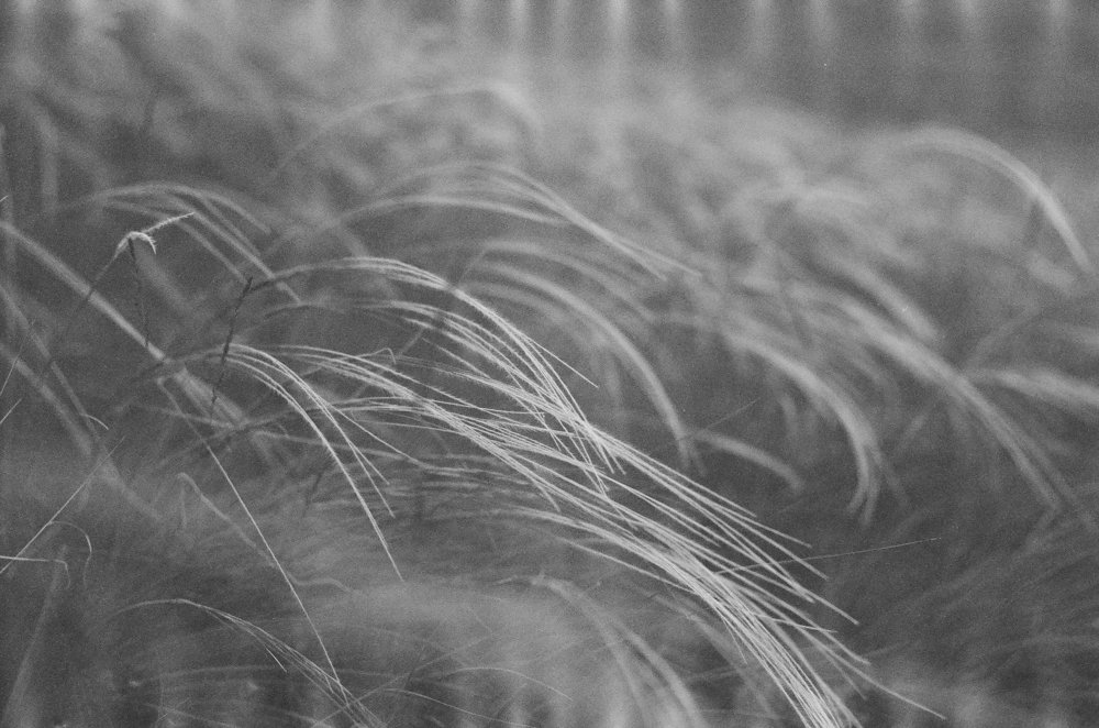 Photograph by Tudor Bartas