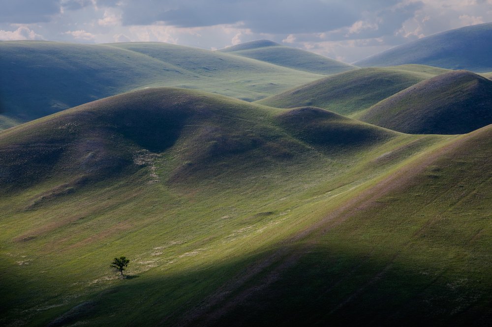 Фотография автора Грачёв Олег