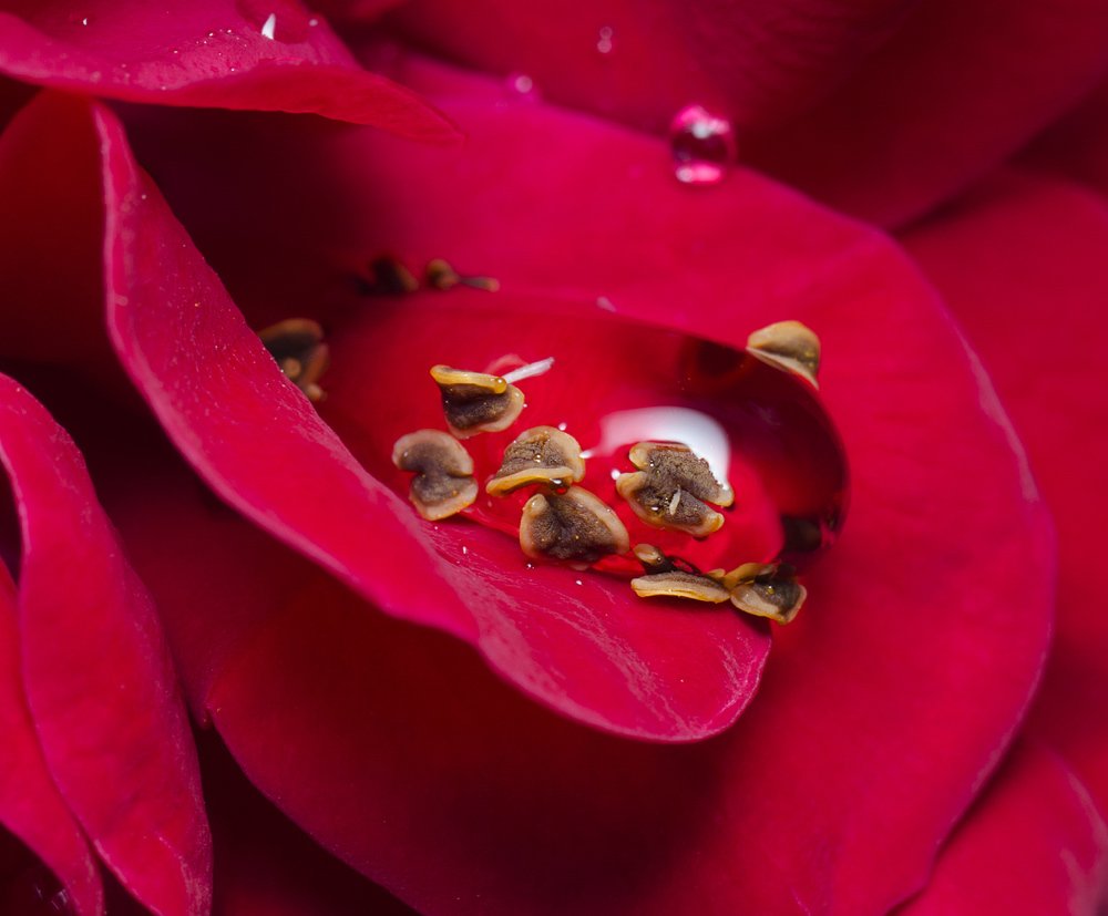 Photograph by Владимир Богданов