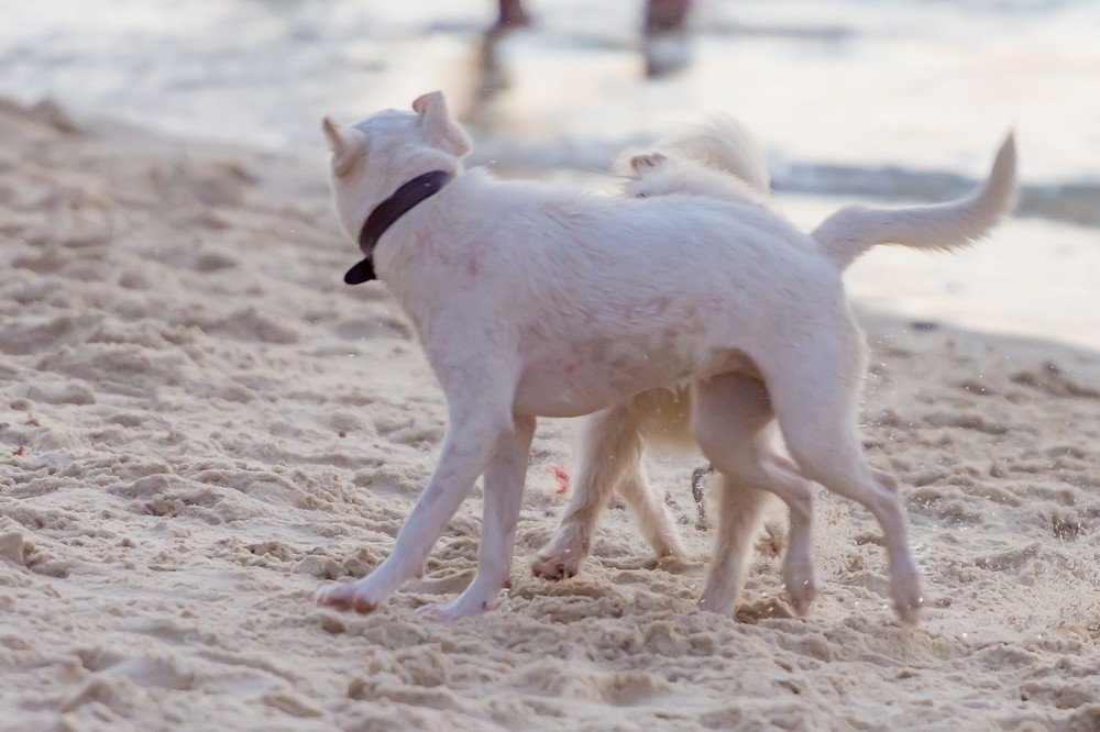 Фотография автора Hamid Hamid