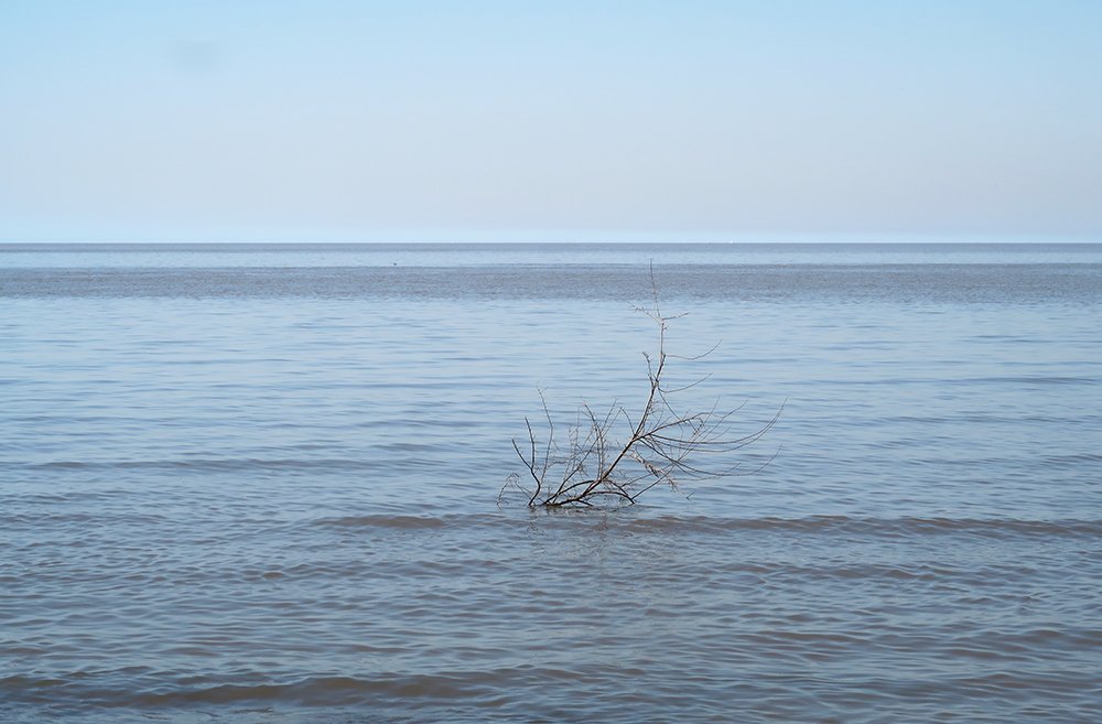 Photograph by Andrea Guedella