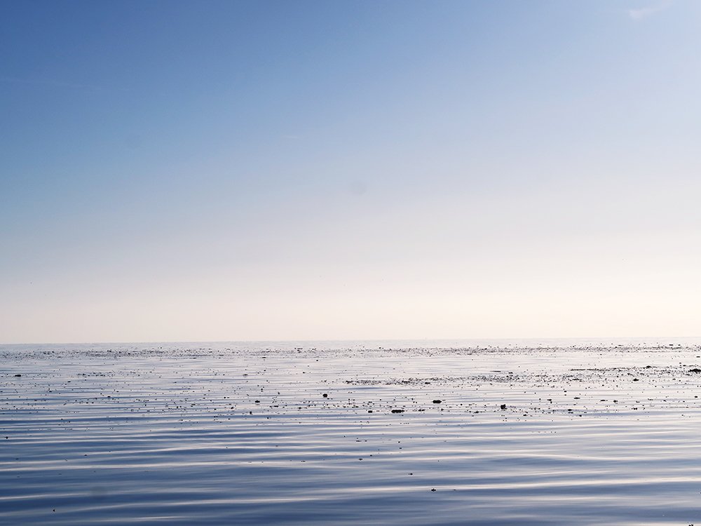 Photograph by Andrea Guedella