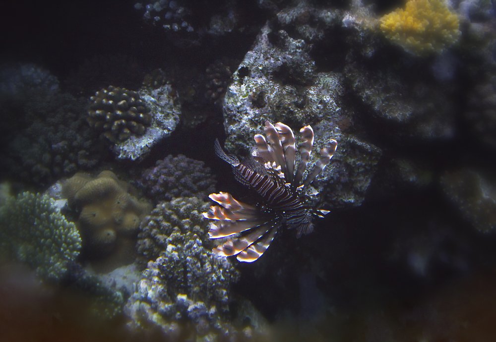 Photograph by Сергей Мордань