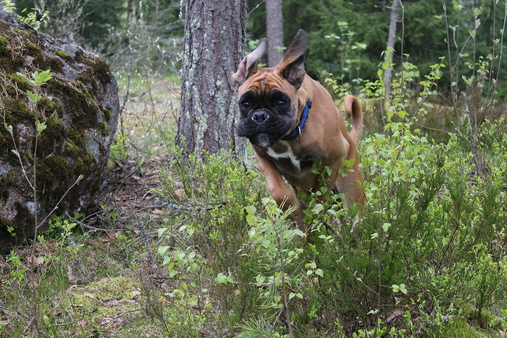 Photograph by Филиппов Олег