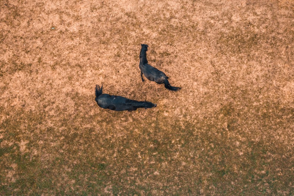 Фотография автора Константин Муравьев