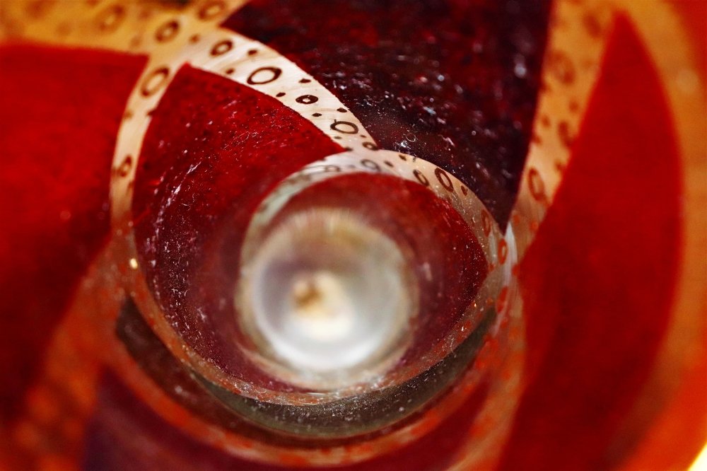 Photograph by Isabel Moreira