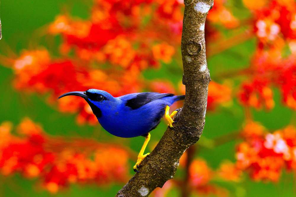 Photograph by Roger Neckles