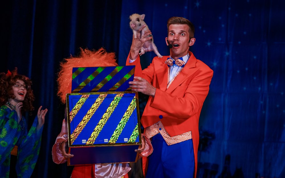 Иллюзионист