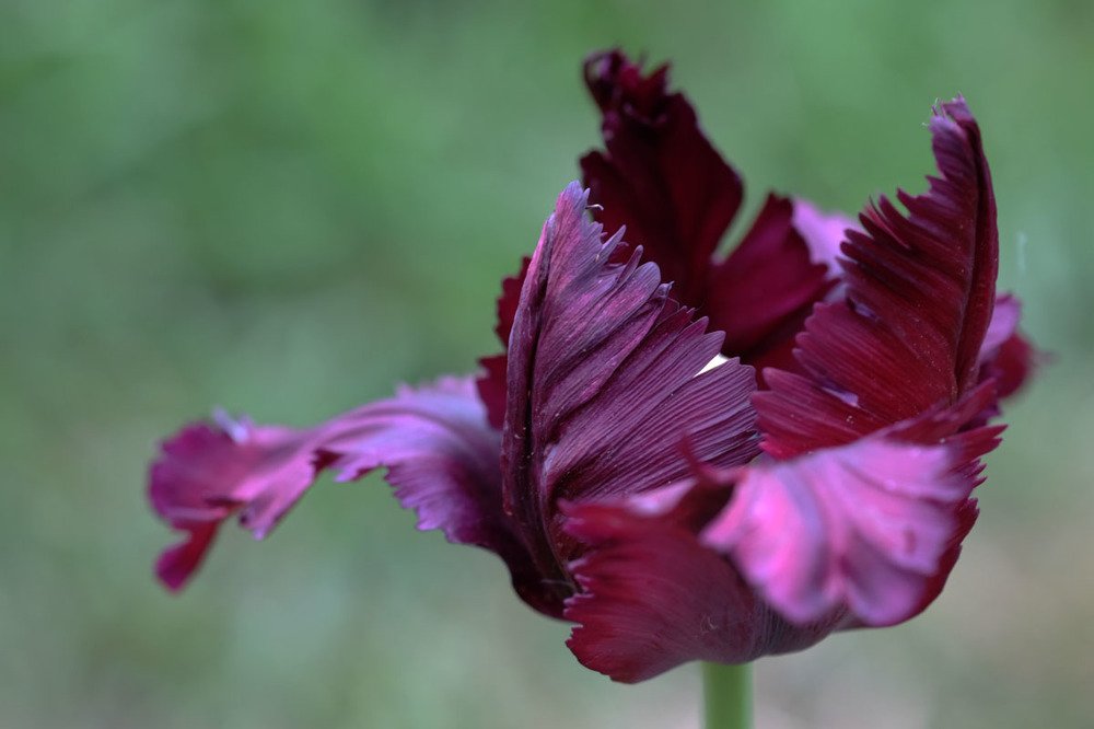 Photograph by Евгений Шувалов